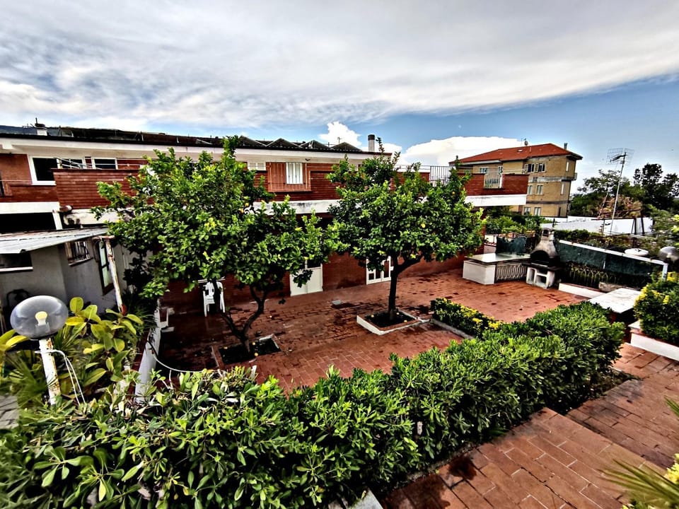 Patio, Garden, Garden view