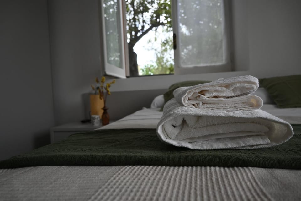 Casa Talìa Bed and Breakfast in Praia A Mare