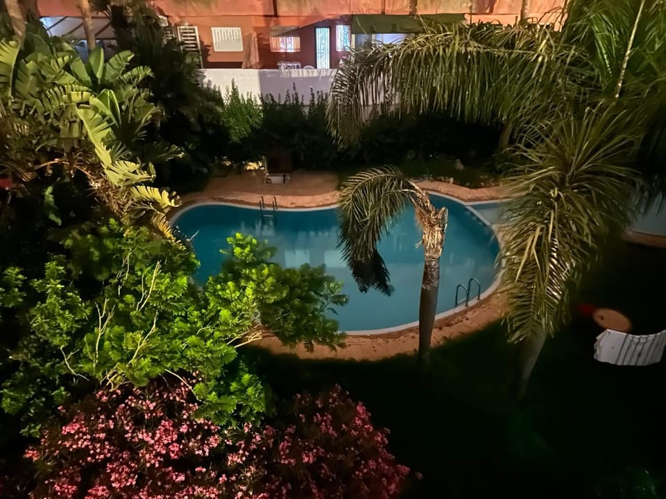 Night, Garden, Pool view, Swimming pool