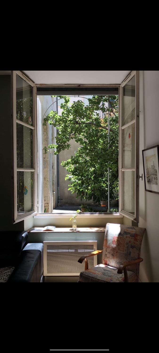 Garden view