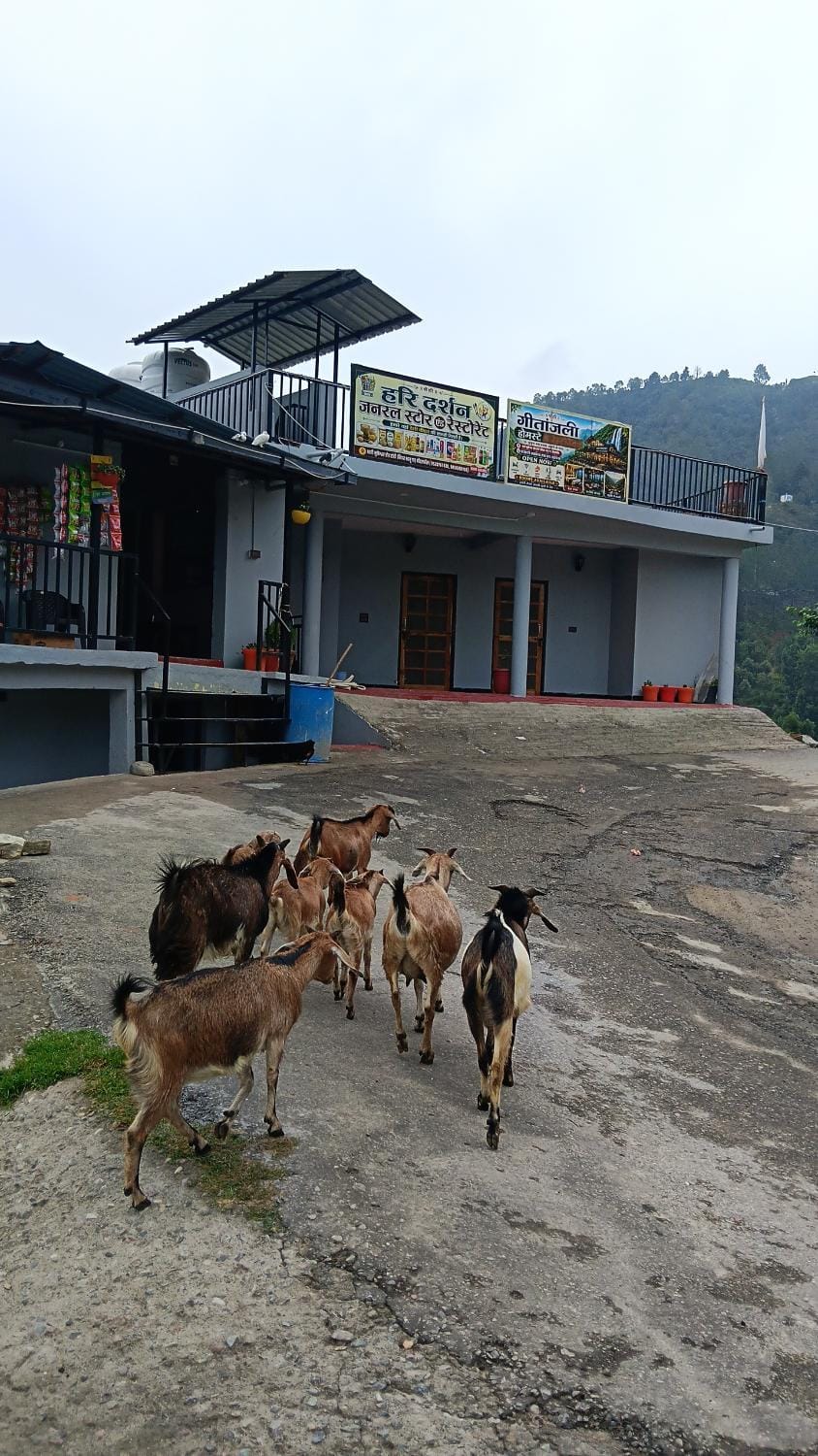 Geetanjali homestay Vacation rental in Uttarakhand