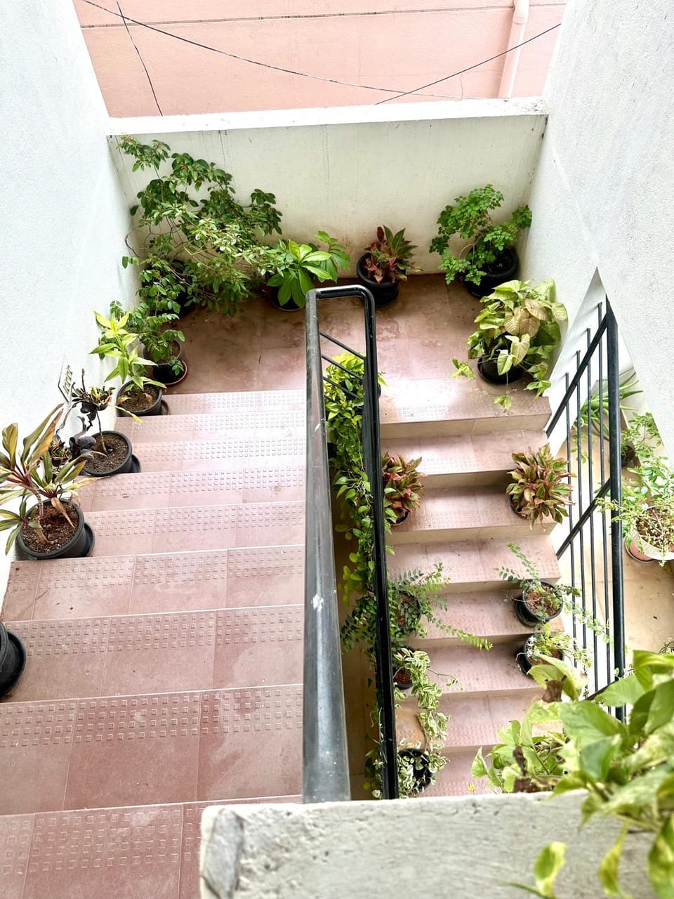Manasa's Retreat - Cozy Room Near Chennai International Airport Vacation rental in Chennai