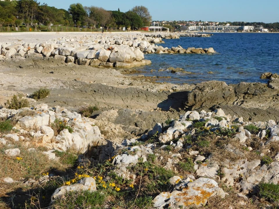 Neighbourhood, Natural landscape, Beach