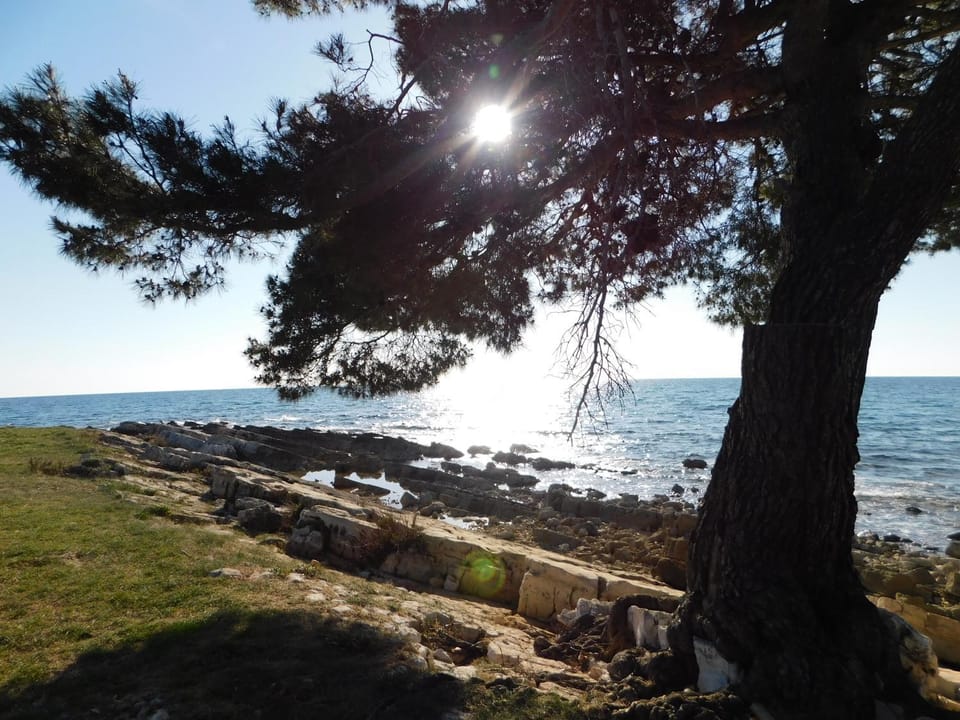 Neighbourhood, Natural landscape, Beach