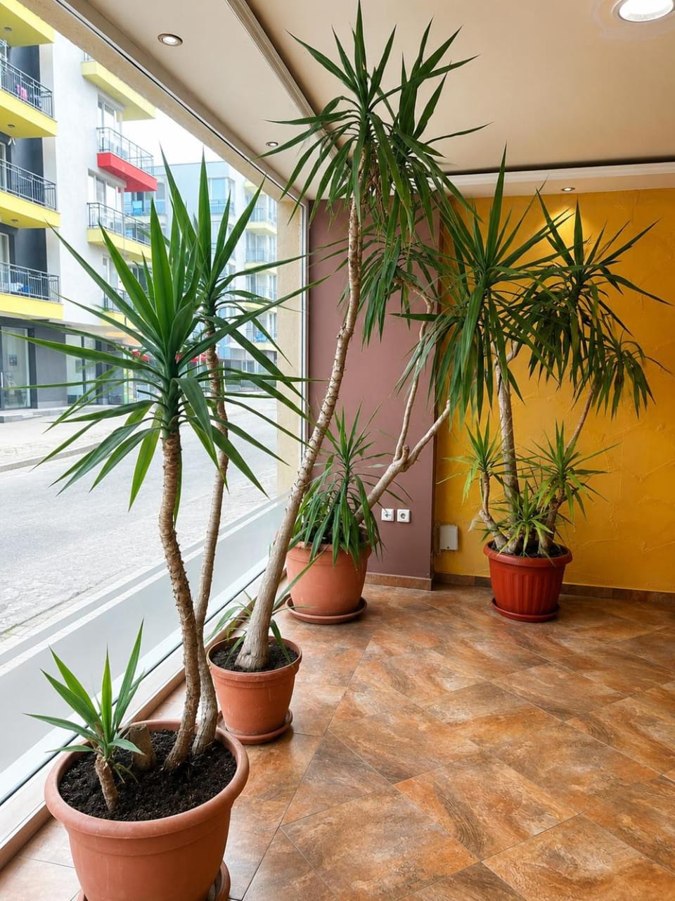 Hotel Argo Hostel in Burgas Province