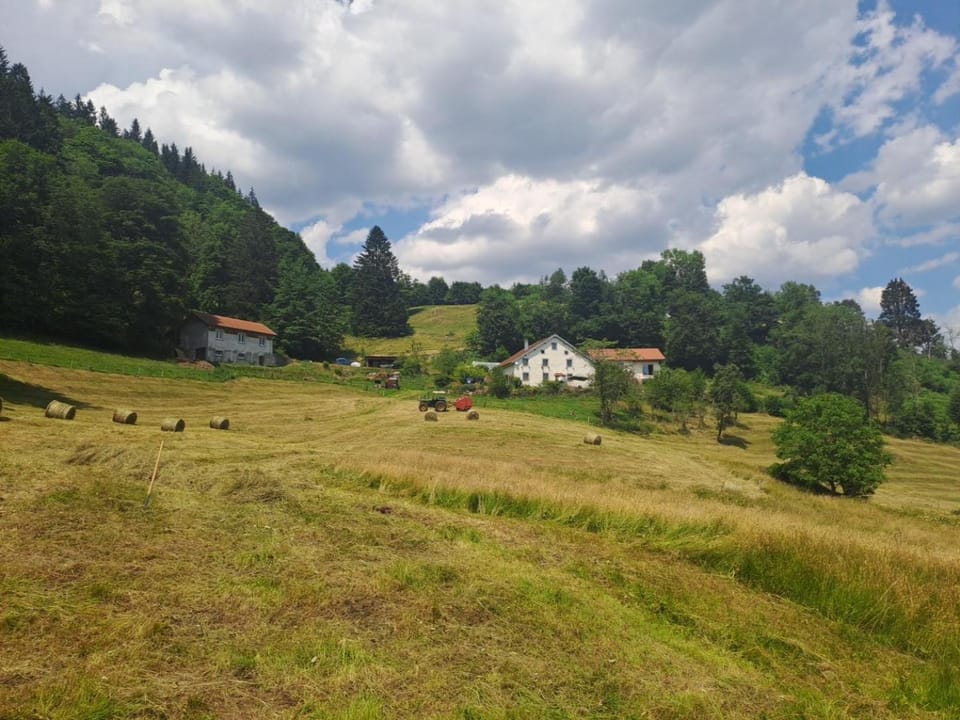 La remise de Saussenigoutte House in Vosges