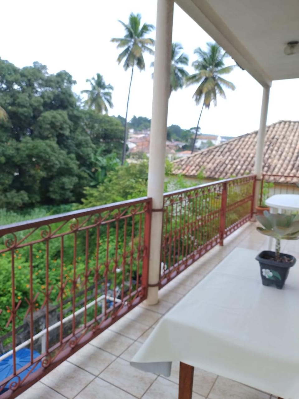 View (from property/room)