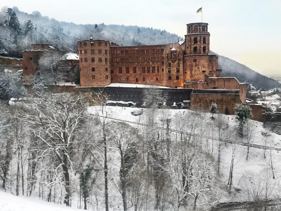 Haus Heidelberg mit Schlossblick und Garten Apartment in Heidelberg