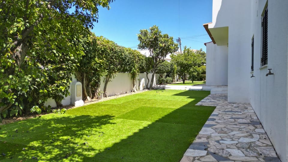 Patio, Garden, Garden view