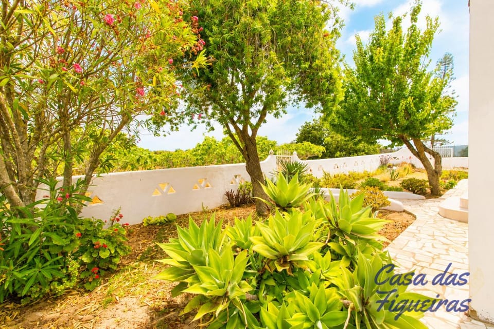 Natural landscape, Garden, Garden view