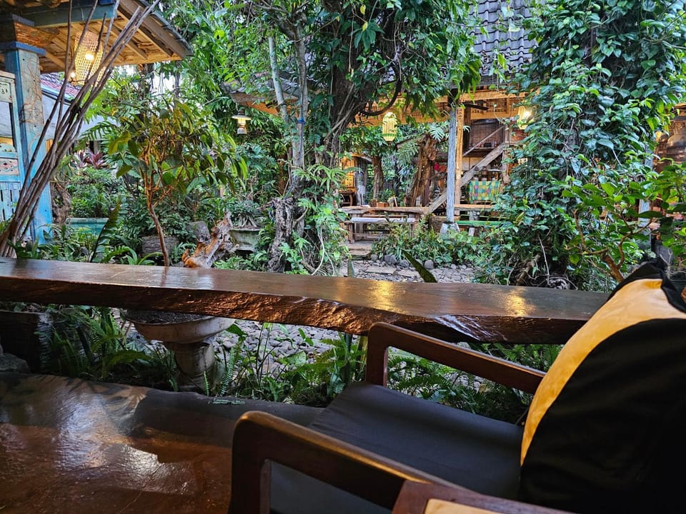 Garden view