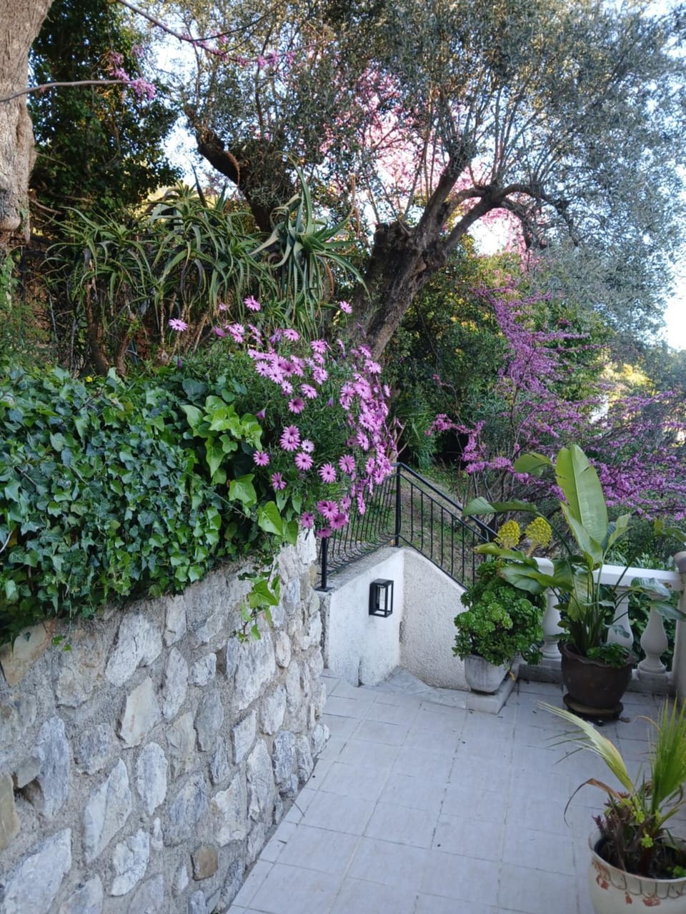Joli studio independant Apartment in Menton
