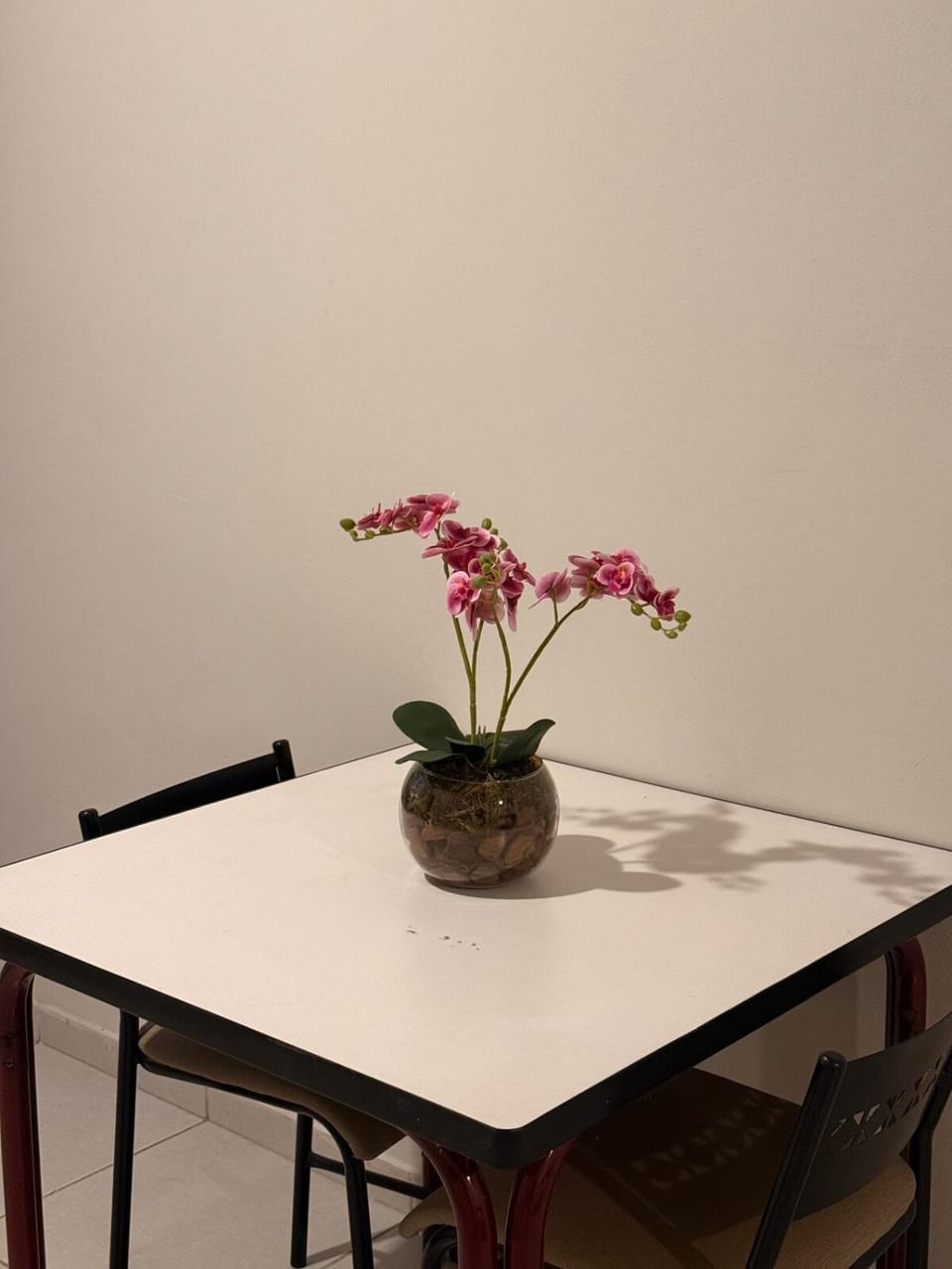 Studio completo em Diamantina-MG Apartment in State of Bahia