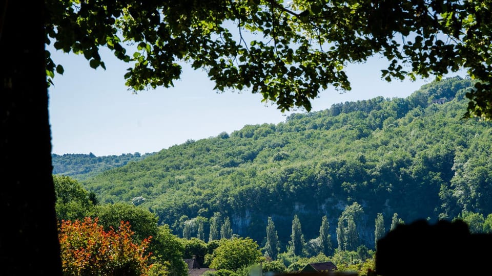 Natural landscape