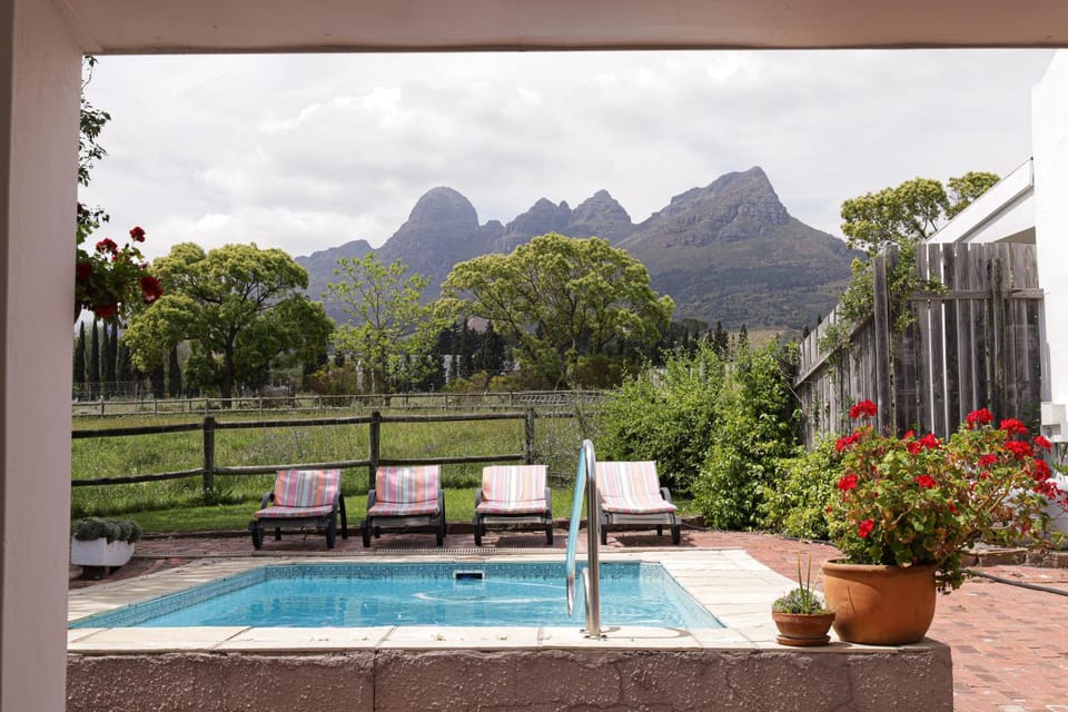 View (from property/room), Mountain view