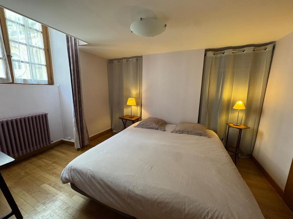 Superbe appart, hôtel particulier, coeur de Dijon Apartment in Dijon