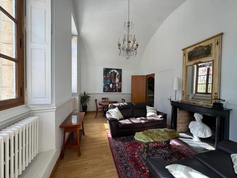 Superbe appart, hôtel particulier, coeur de Dijon Apartment in Dijon