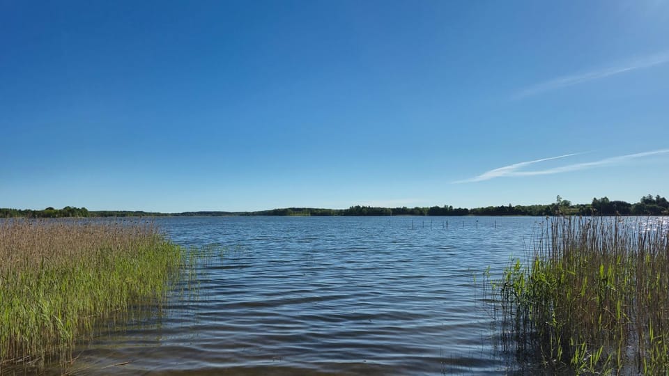 Pole u Daniela Campground/ 
RV Resort in Kaliningrad Oblast, Russia