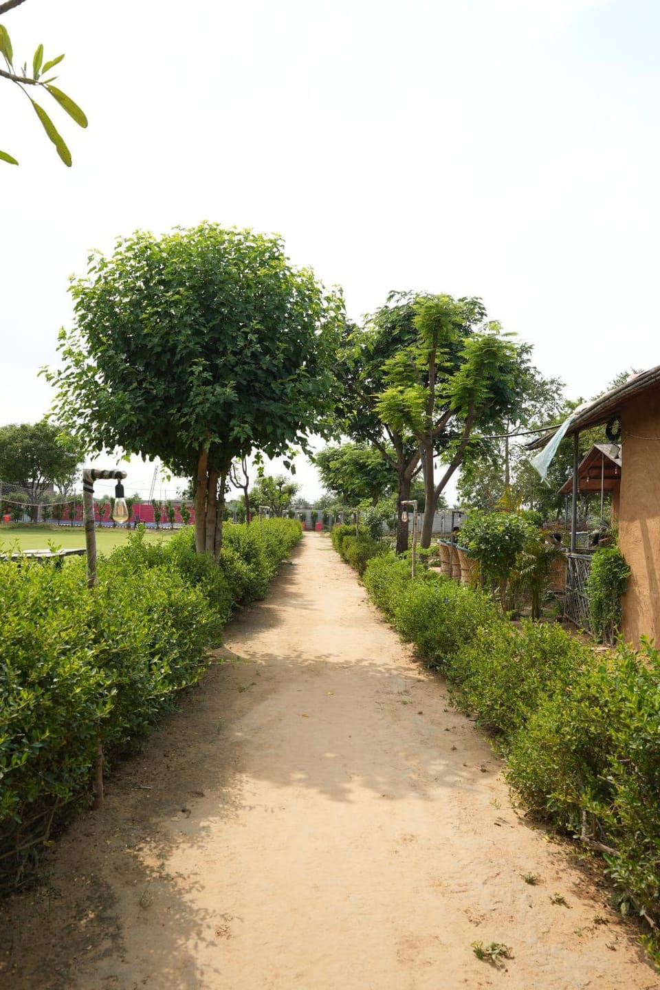 Rupani Dhani Farmhouse by Belmore Luxury tent in Haryana