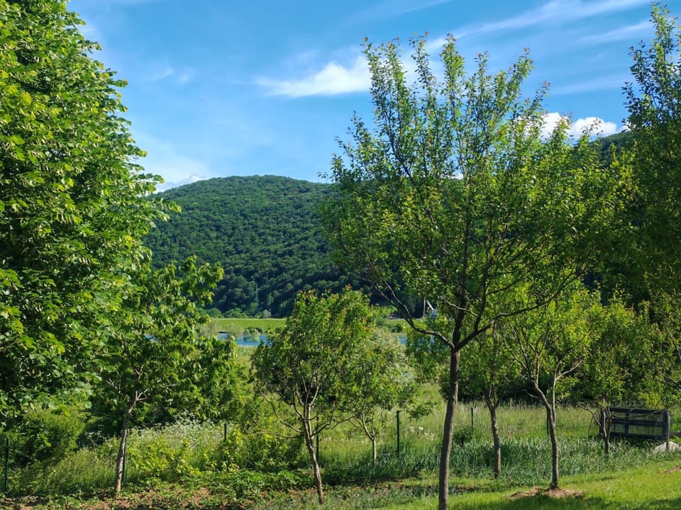 Apartmani Mila Apartment in Lika-Senj County