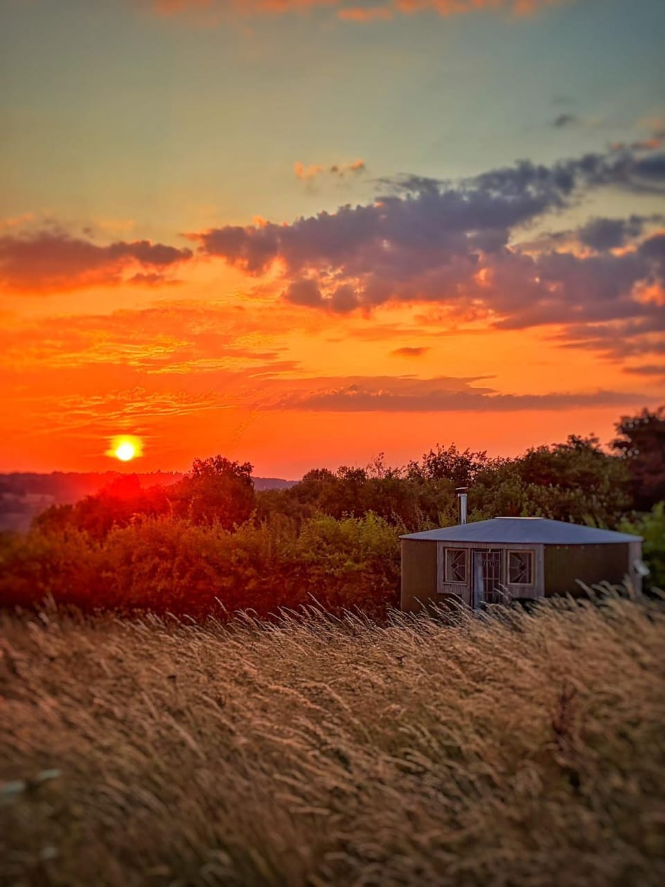 Yurt Queen Of Hearts Luxury tent in Forest of Dean