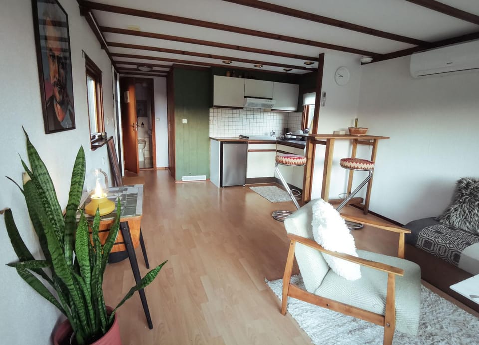 Kitchen or kitchenette, Living room, Dining area