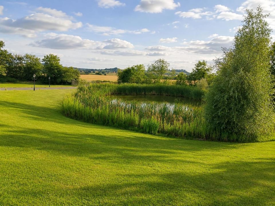 Garden, Garden view, Garden view