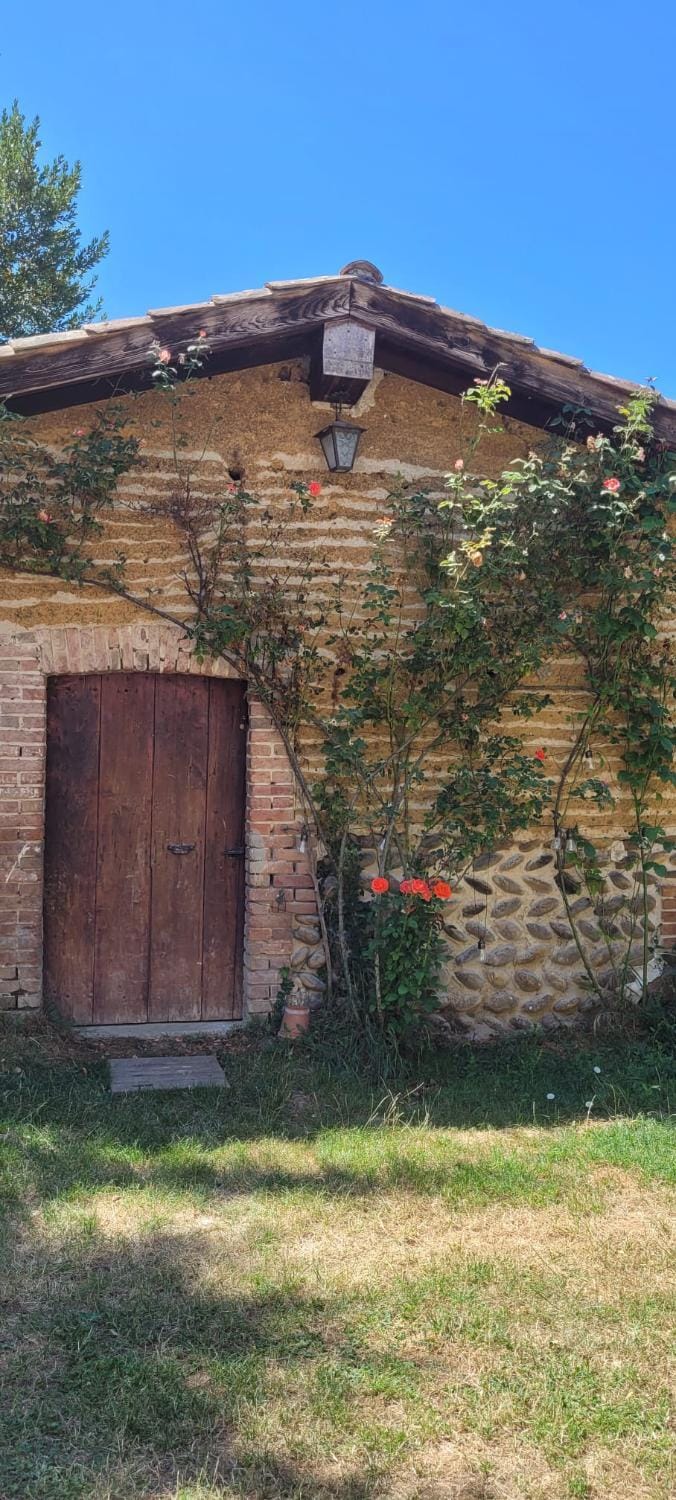 Inner courtyard view