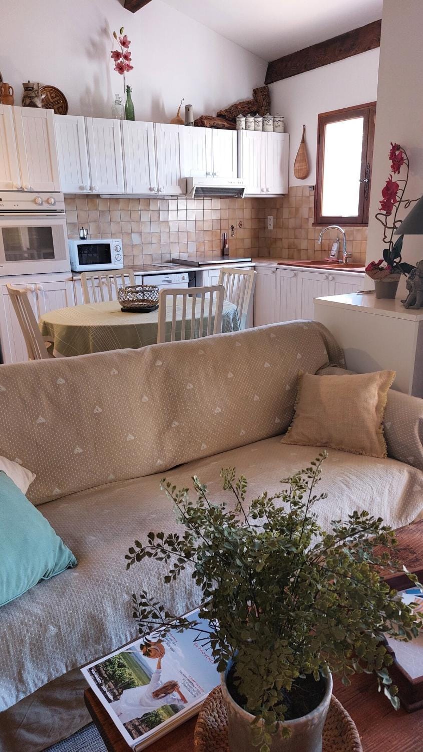 2-star rated air-conditioned house with garden House in La Londe-les-Maures