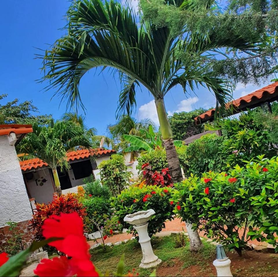 Habitación sencilla Bed and Breakfast in Venezuela