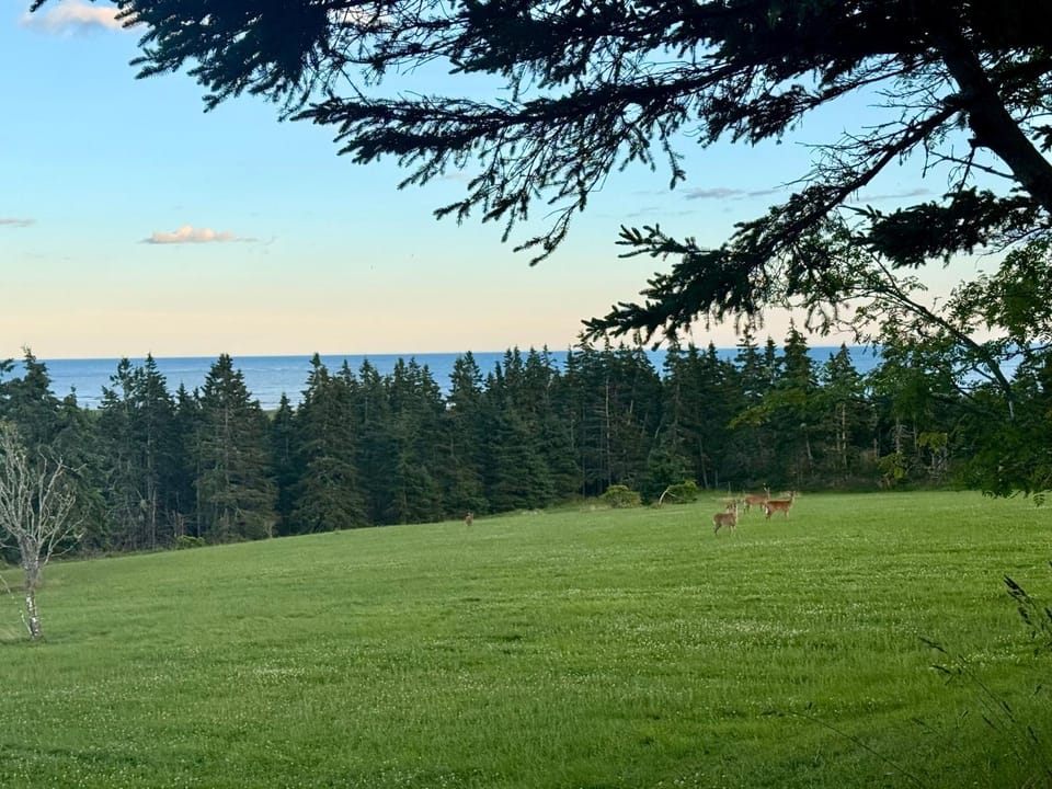 Natural landscape, Sea view