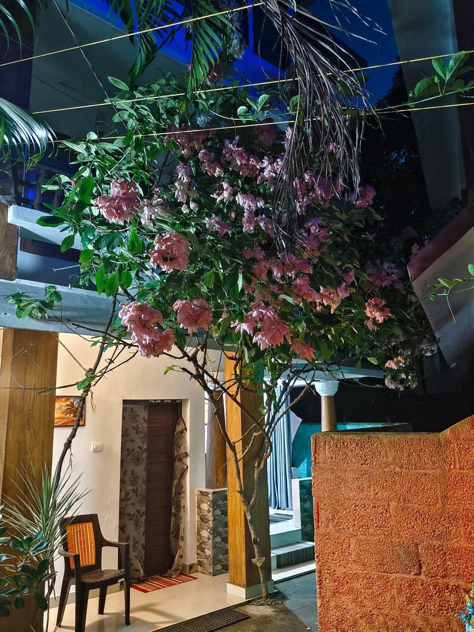 Dver Prirody Hotel in India
