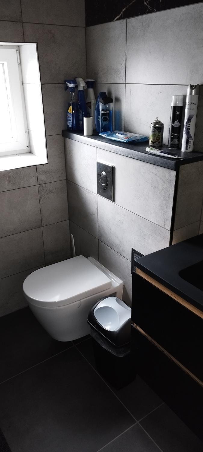 Toilet, Bathroom