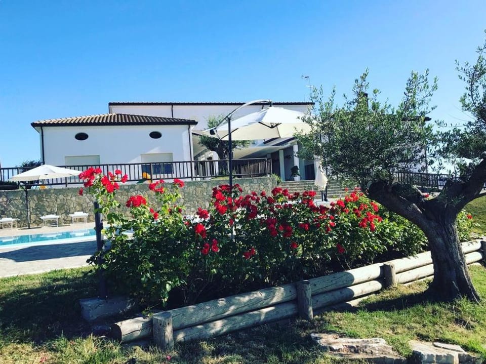 Spring, Garden, Pool view