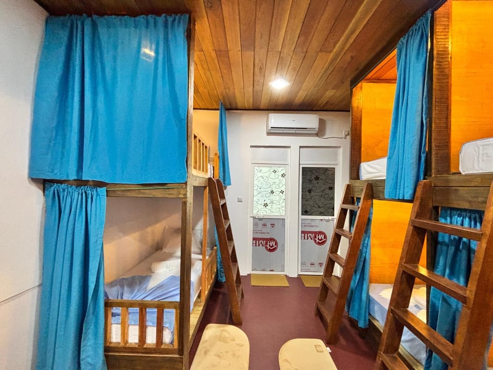 Bed, Photo of the whole room, bunk bed