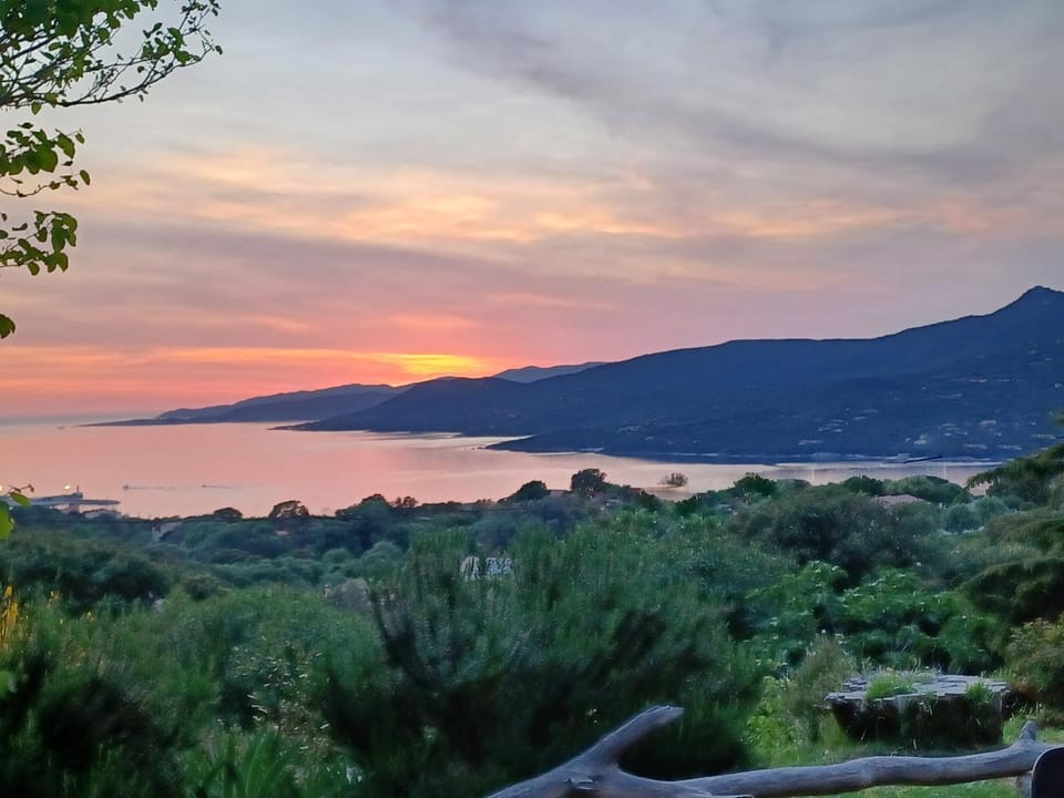 Garden, Sunset