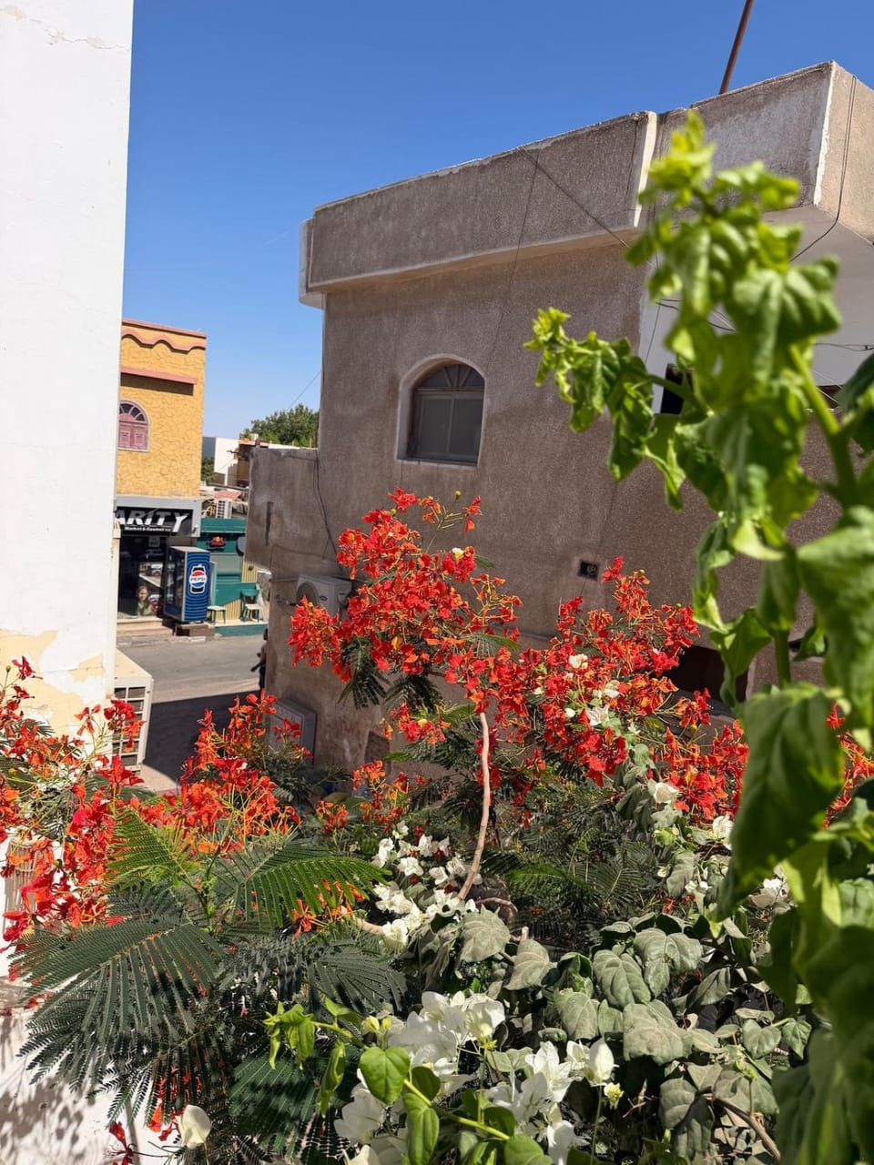 Alexander bay apartment lighthouse lovers Apartment in South Sinai Governorate