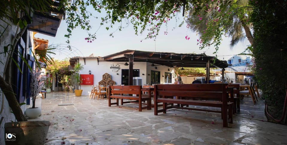 Restaurant/places to eat, Day
