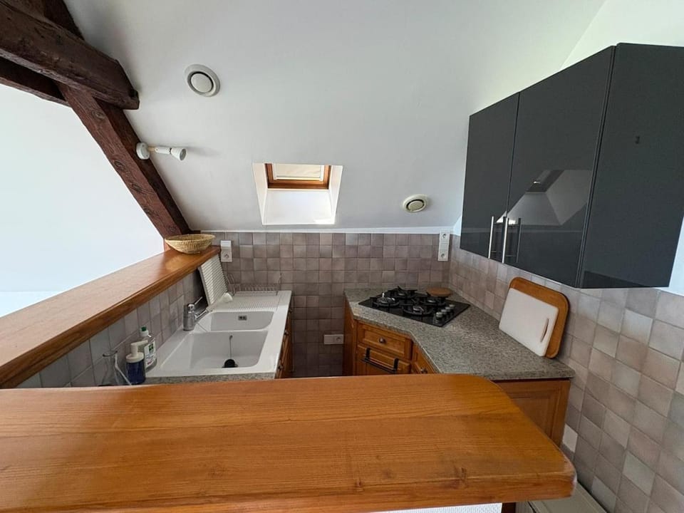 Cozy and Independent Studio with a View Apartment in Auvergne-Rhône-Alpes