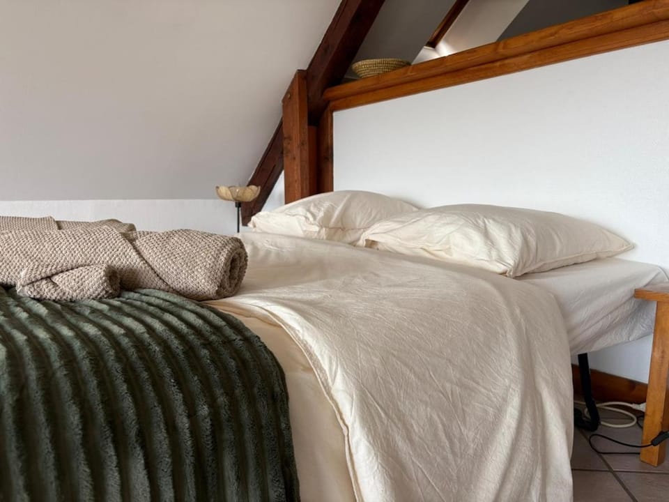 Cozy and Independent Studio with a View Apartment in Auvergne-Rhône-Alpes