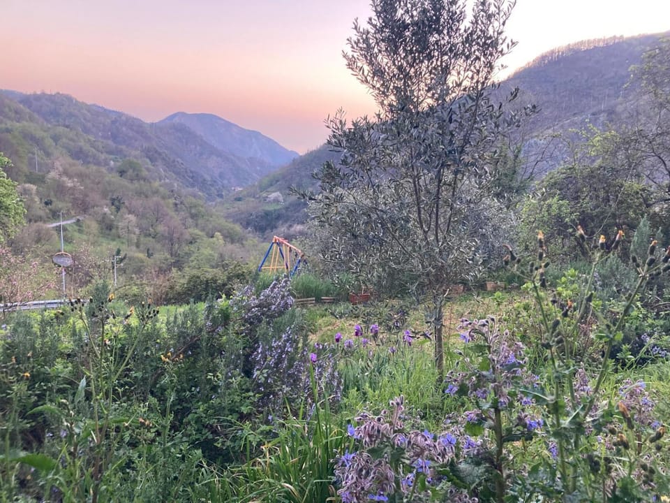 B&B PETITE PROVENCE Genova Bed and Breakfast in Genoa