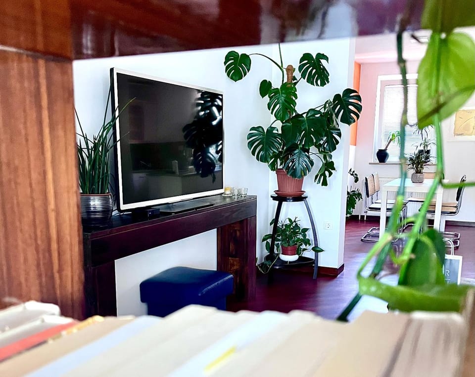 Lanas place Apartment in Slovenia