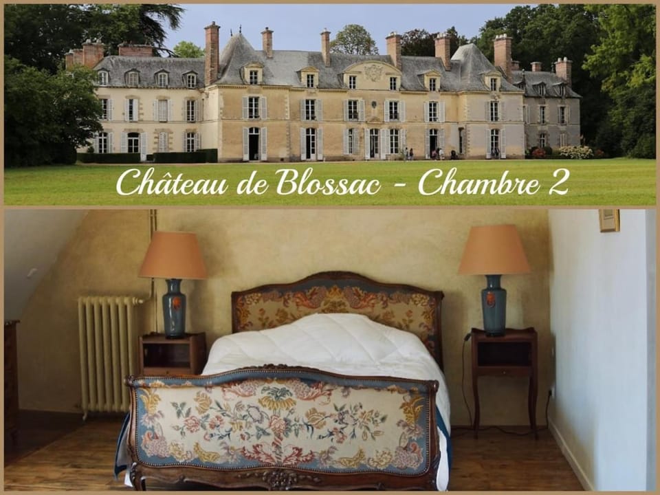 Château de Blossac Bed and Breakfast in Bruz