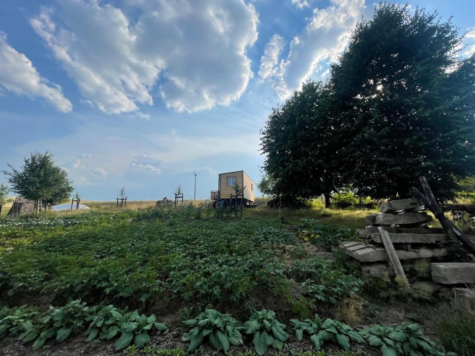 Property building, Day, Natural landscape, Garden, Garden view