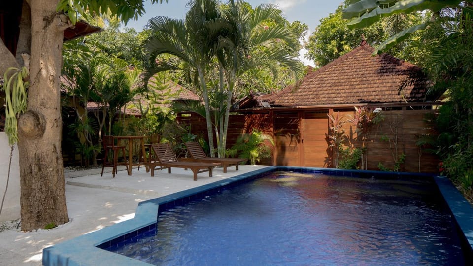 Day, Summer, Garden, Garden view, Pool view, Swimming pool, Swimming pool, sunbed