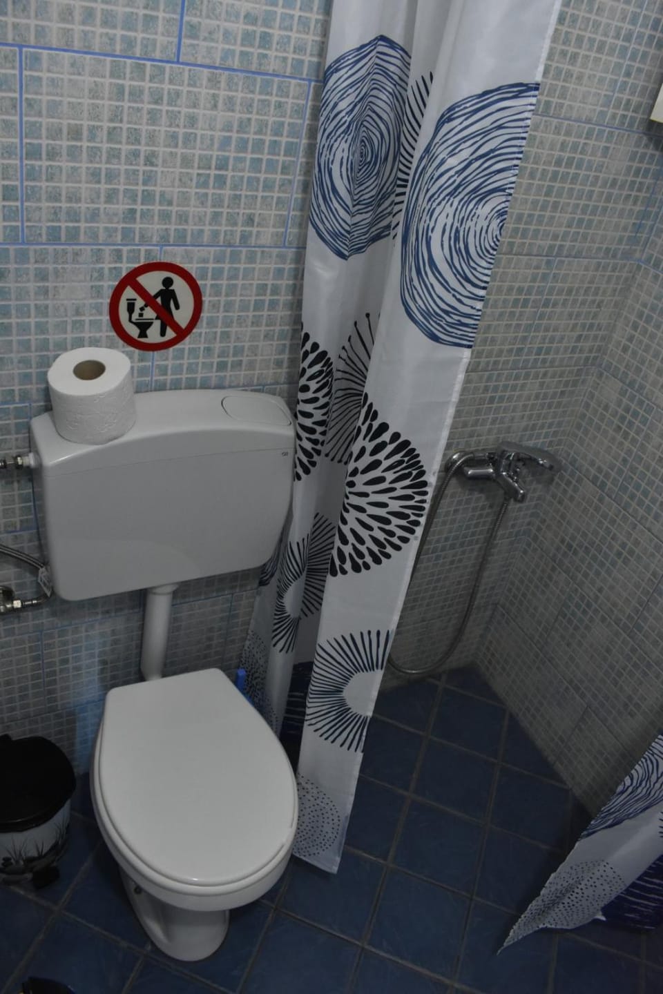 Shower, Toilet