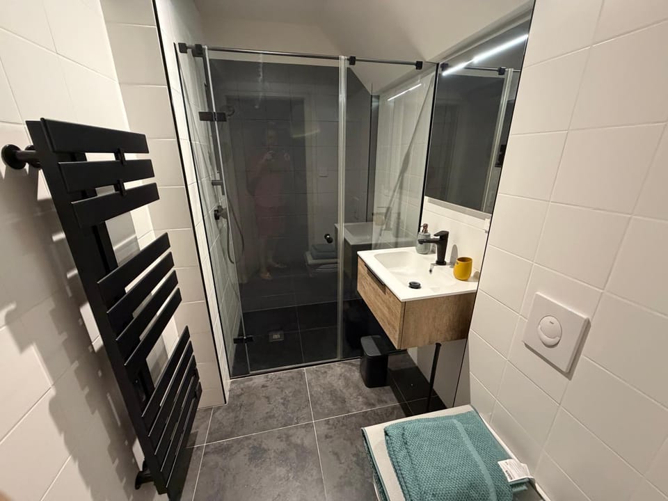 Charmant studio climatisé Kintzheim Apartment in Grand Est