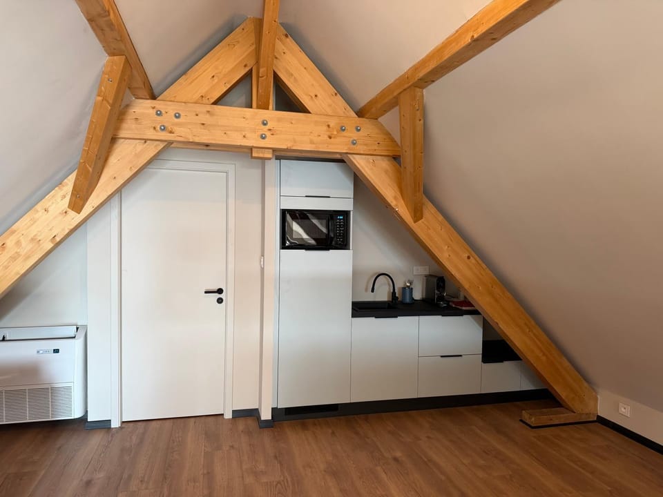 Charmant studio climatisé Kintzheim Apartment in Grand Est