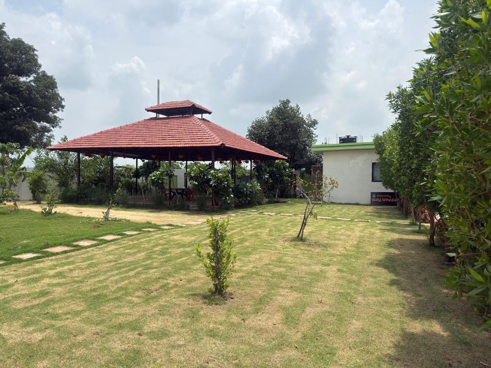 Natural landscape, Garden