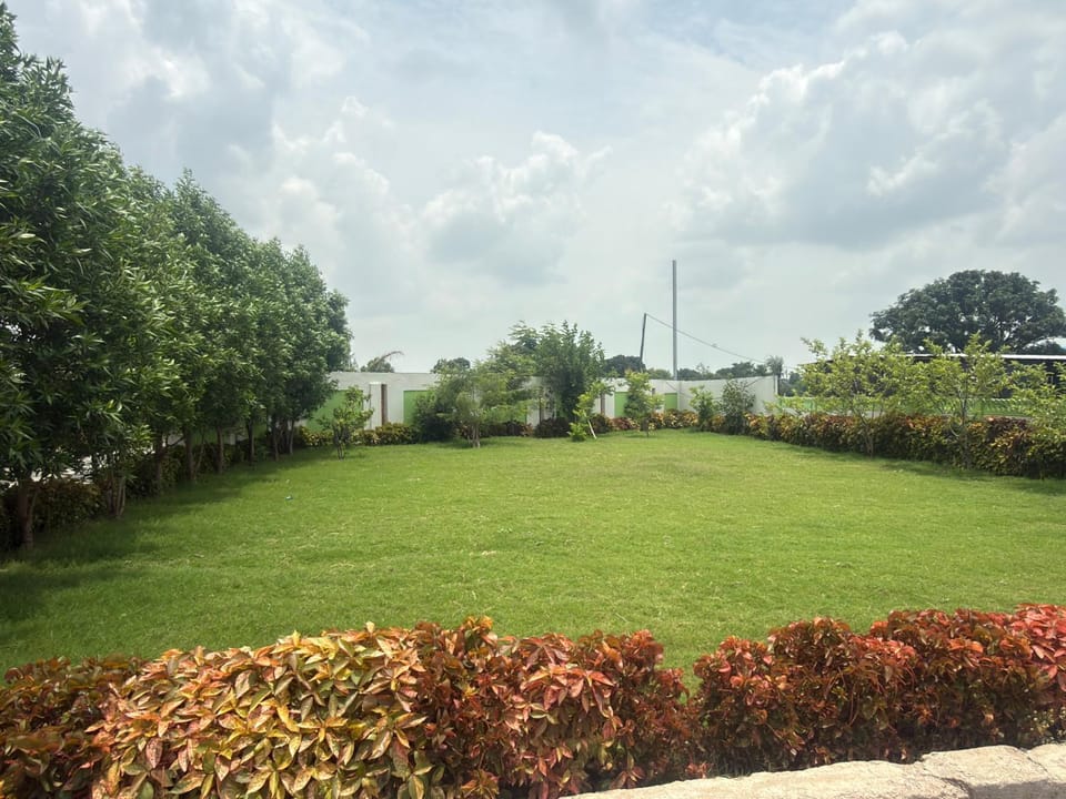 Garden, Garden